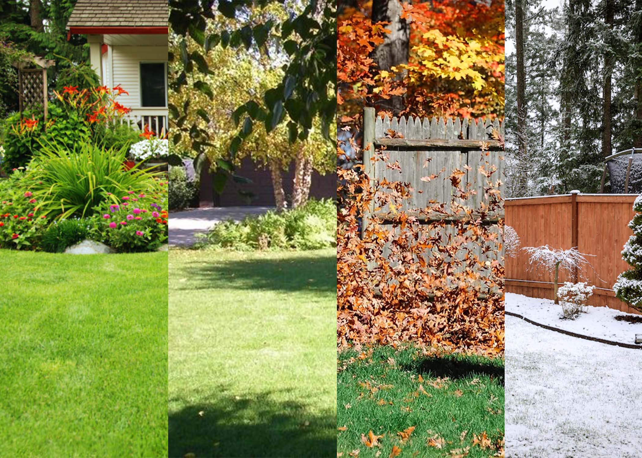 A Seasonal Guide to Landscape Maintenance in Red Deer, Alberta