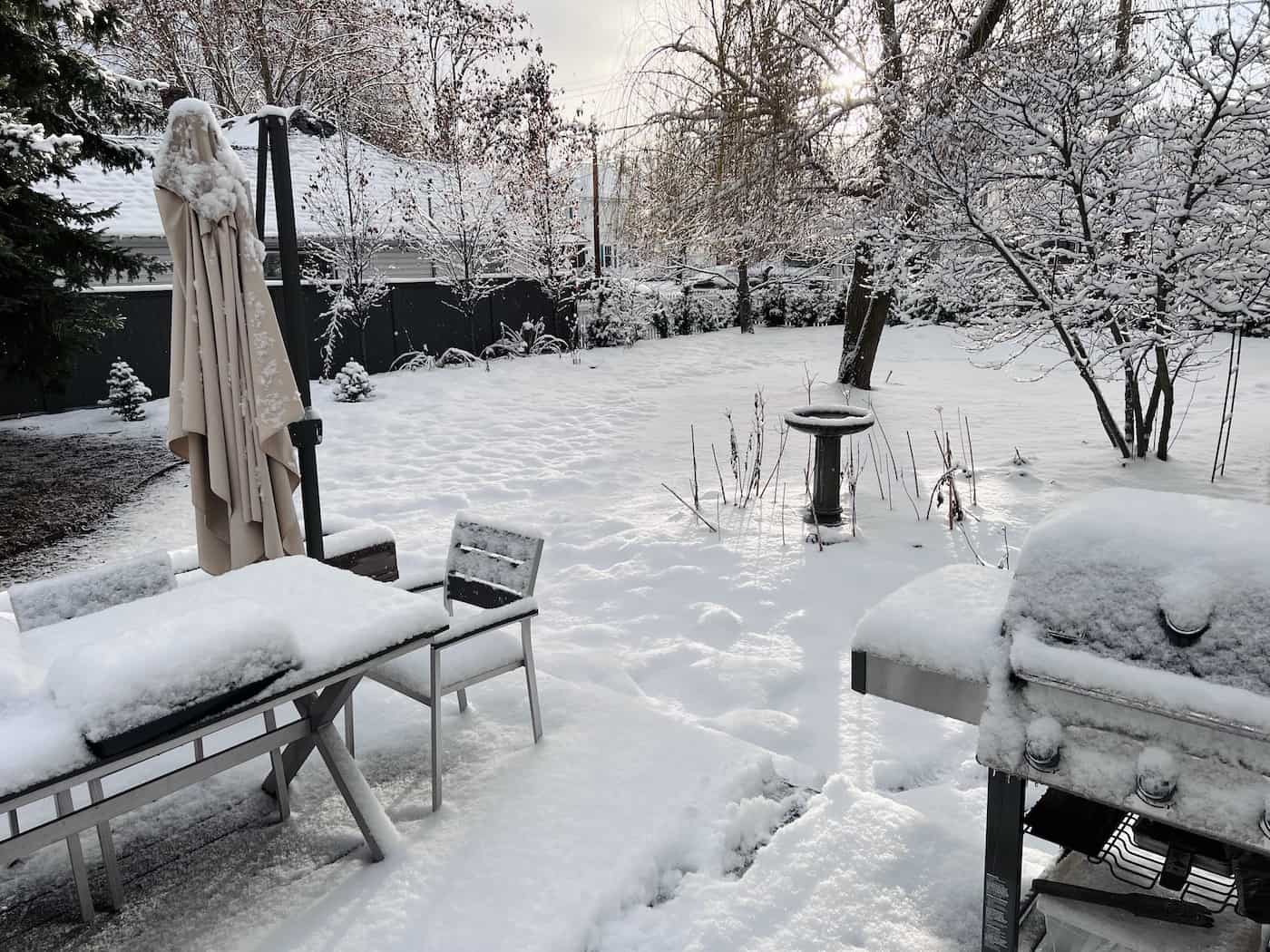 Winter-Proof Your Garden: The Essential Role of Professional Landscapers